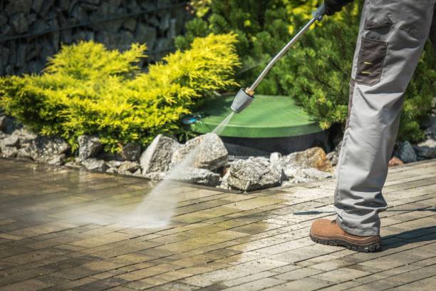 Best Winterizing Services  in Kulpmont, PA