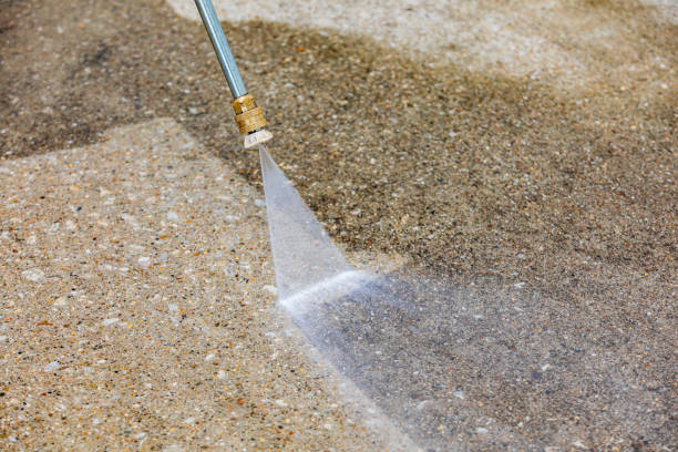 Best House Exterior Washing  in Kulpmont, PA