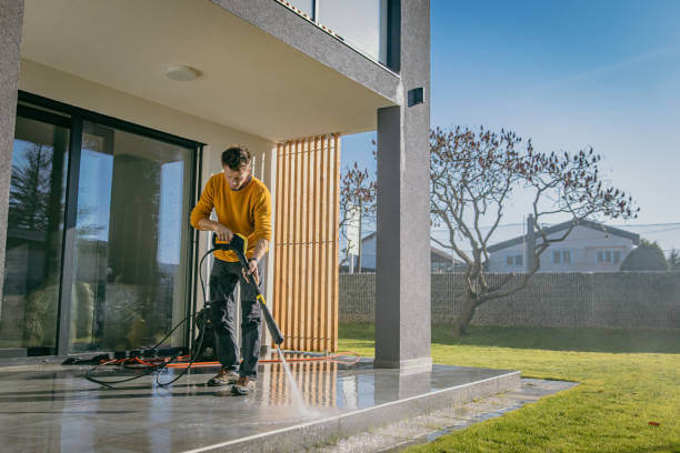 Best Roof Washing  in Kulpmont, PA